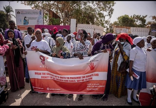 Move to overturn FGM ban in The Gambia leads to the emergence of online echo chambers