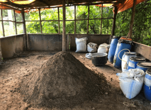Fighting Climate Change- Agroecology to the rescue?