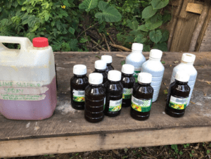 Fighting Climate Change- Agroecology to the rescue?