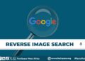 How to use Google Reverse Image Search to verify photos online