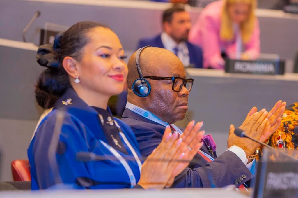 Can the Nigerian Senate suspend a member? - Here is what the law says