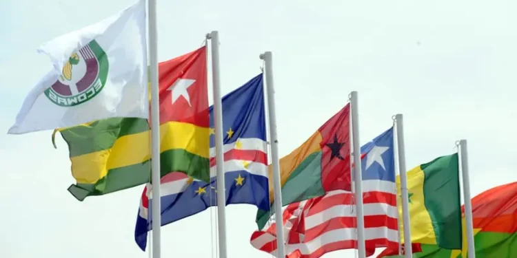 WEF Global Risks Report 2026: Analysis of West Africa’s top risks WEF Global Risks Report 2026: Analysis of West Africa’s top risks