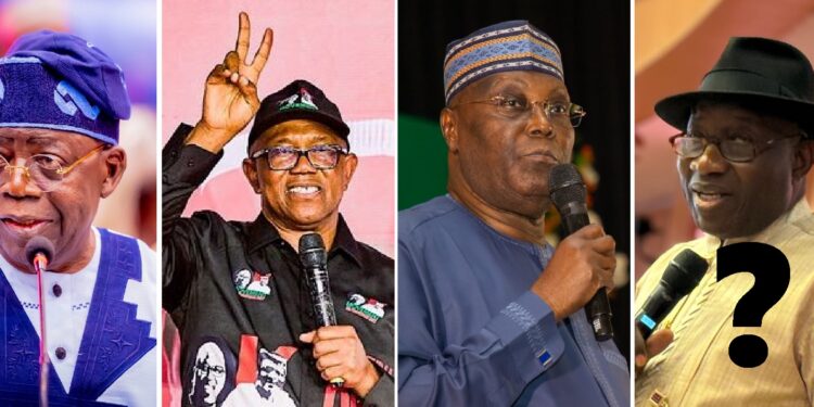Nigeria’s 2027 presidential election: How Tinubu, other opponents were elected to contest