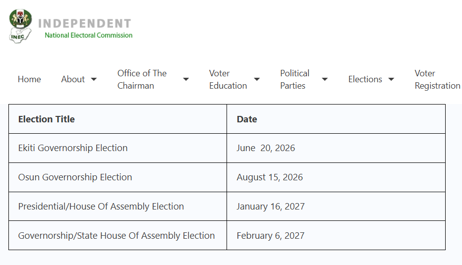 Nigeria’s 2027 presidential election: How Tinubu, other opponents were elected to contest