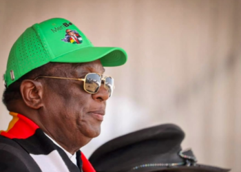 FACT-CHECK: Did Zimbabwe President declare his birthday an annual public holiday?